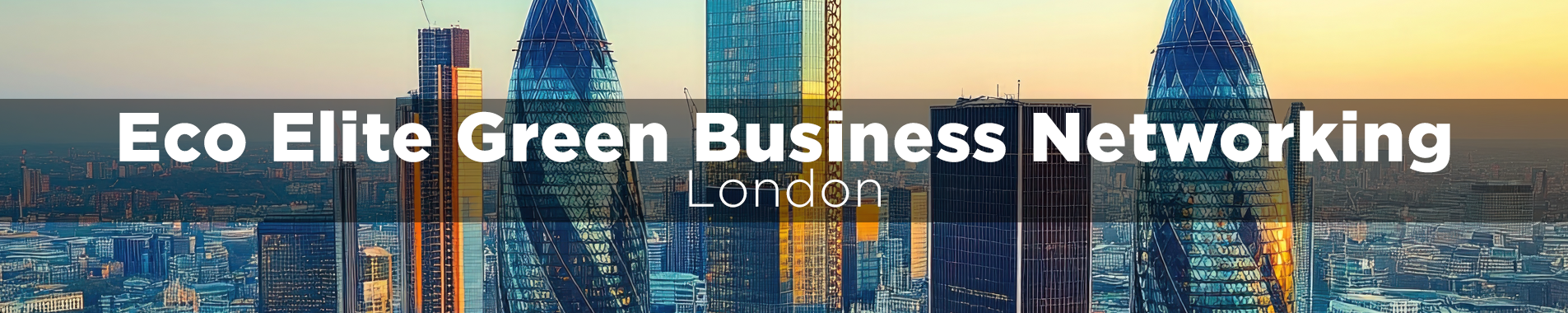 Eco Elite Green Business Networking - London